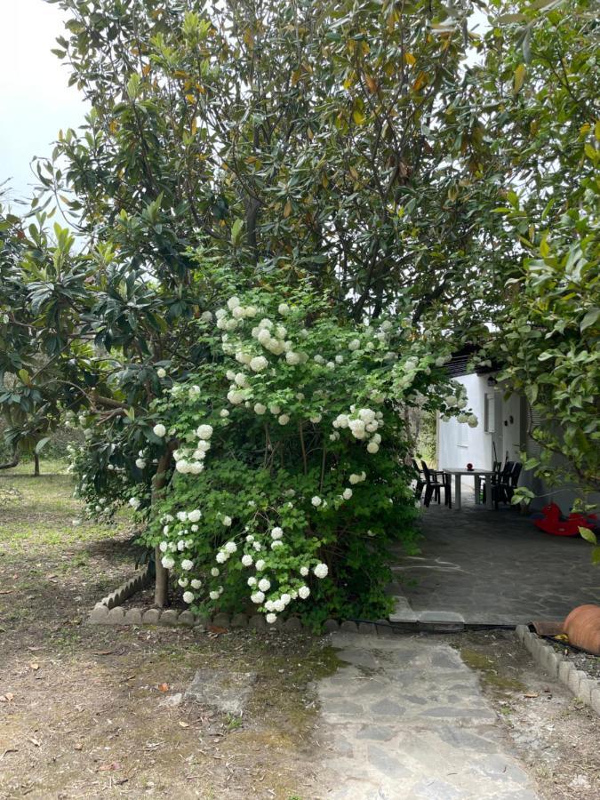 Irinis Cottage Кала Нера Екстериор снимка